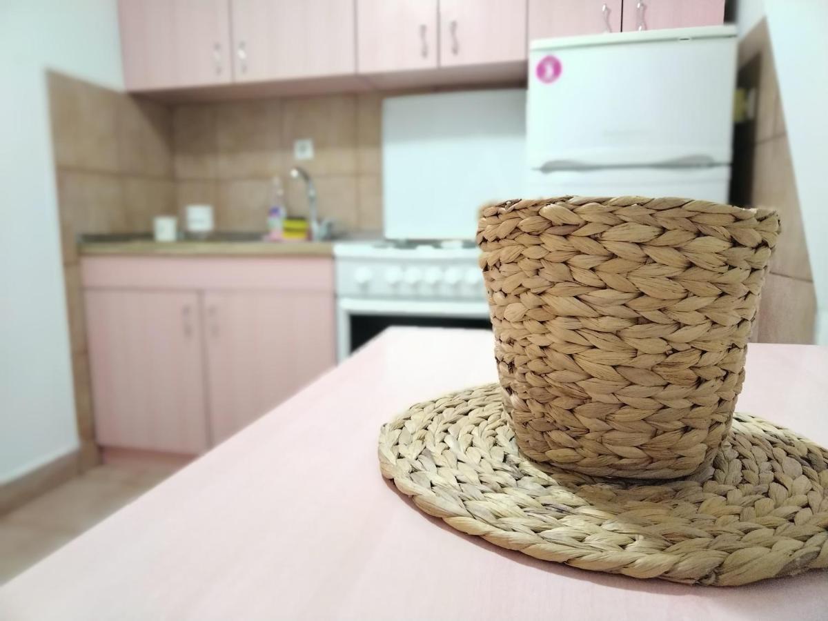 Jani Apartment 2 City Center スコピエ エクステリア 写真