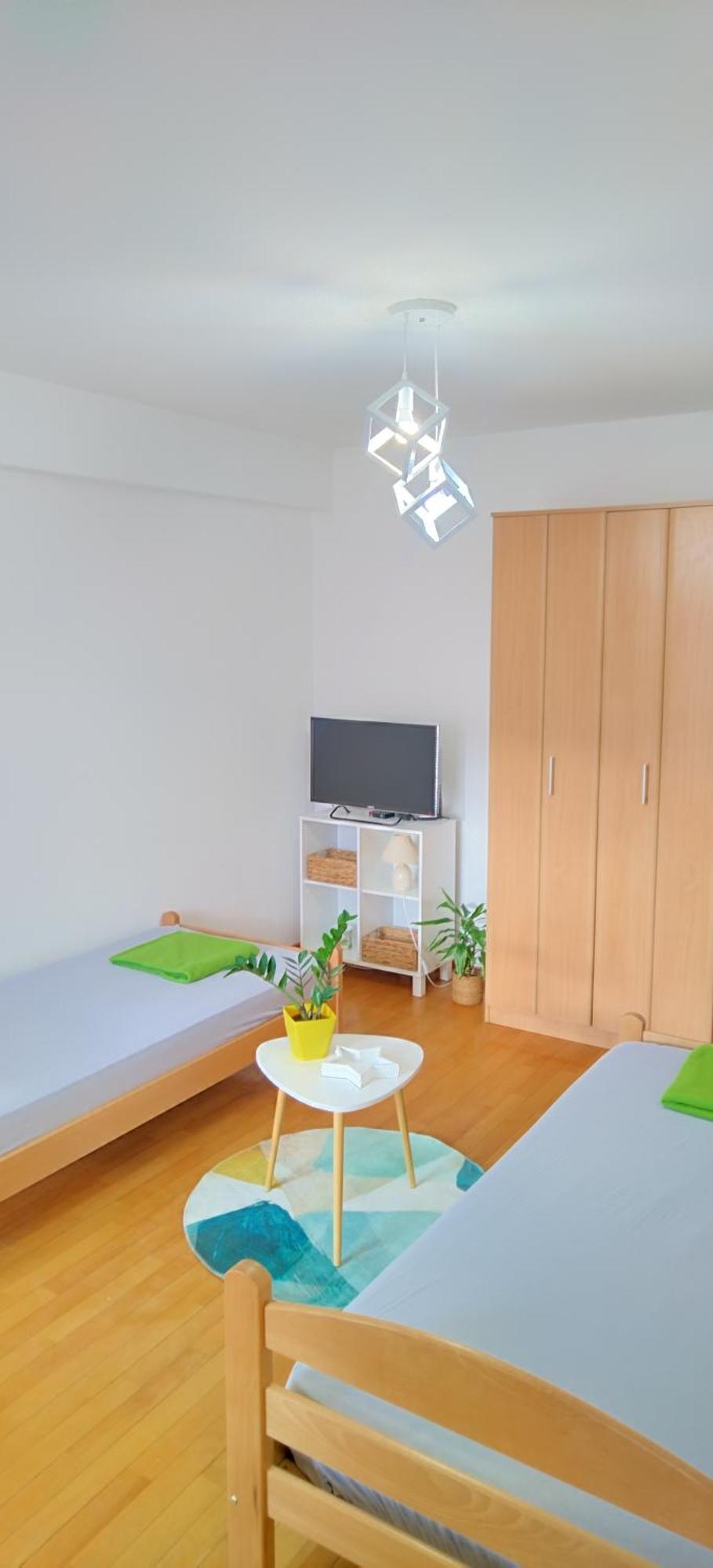 Jani Apartment 2 City Center スコピエ エクステリア 写真