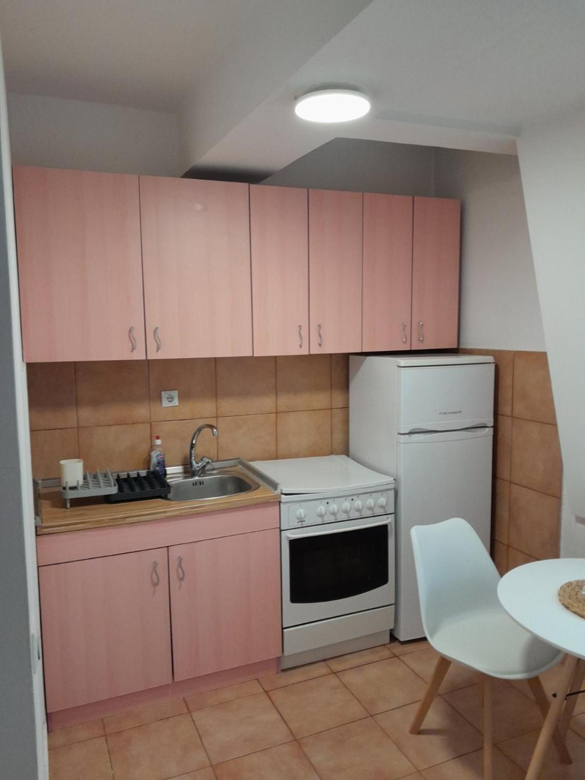 Jani Apartment 2 City Center スコピエ エクステリア 写真